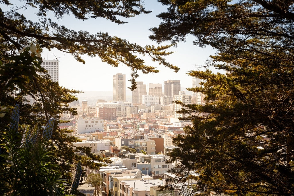Ways to Reduce your Carbon Footprint - City through the Trees
